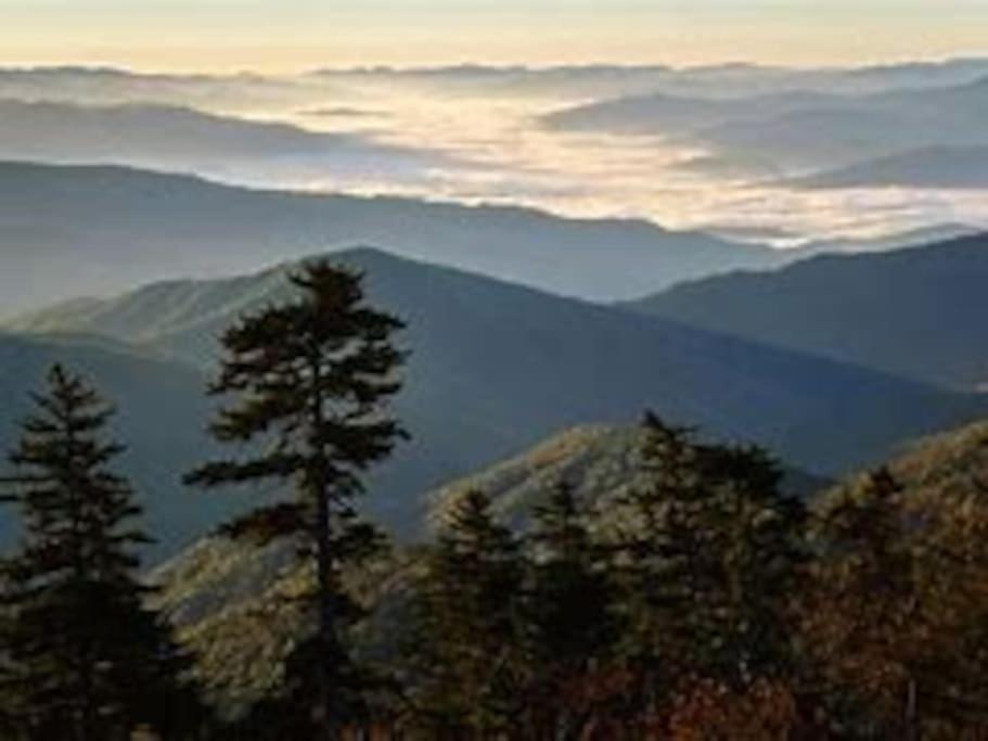 1 Mi To Dollywood Mins To All Attractions & Gsmnp Sevierville Buitenkant foto