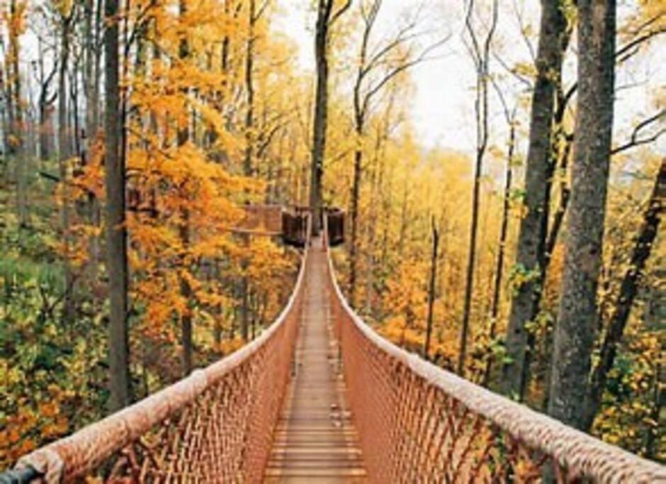 1 Mi To Dollywood Mins To All Attractions & Gsmnp Sevierville Buitenkant foto